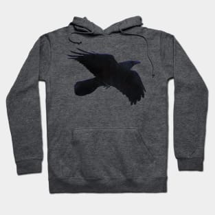 Twilight Raven Hoodie